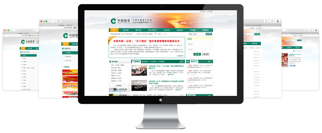金百瑞竭诚为您提供高端网站建设、网页设计等网建服务