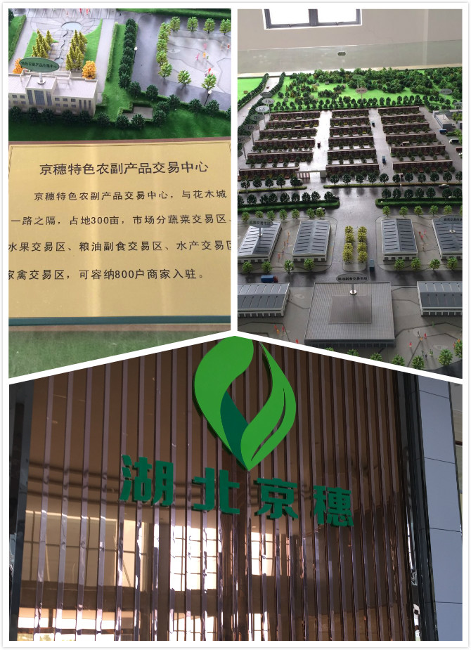 京穗1.jpg
