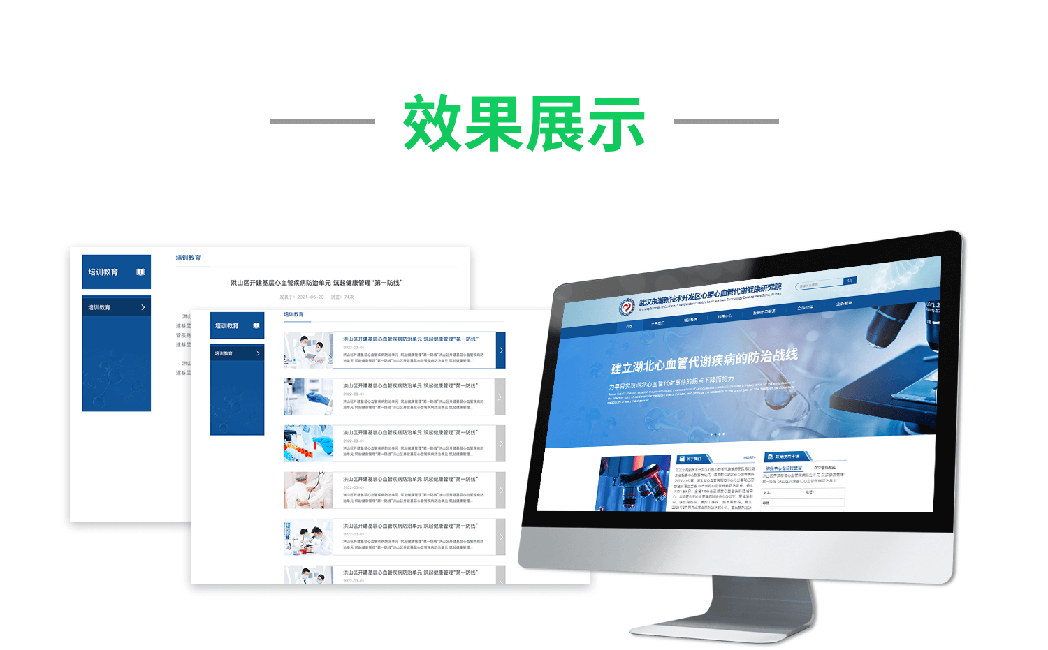 金百瑞网站案例模板_01.png